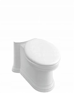 Villeroy & Boch miska WC do kompaktu Amadea 769510R3 Pergamon sama miska
